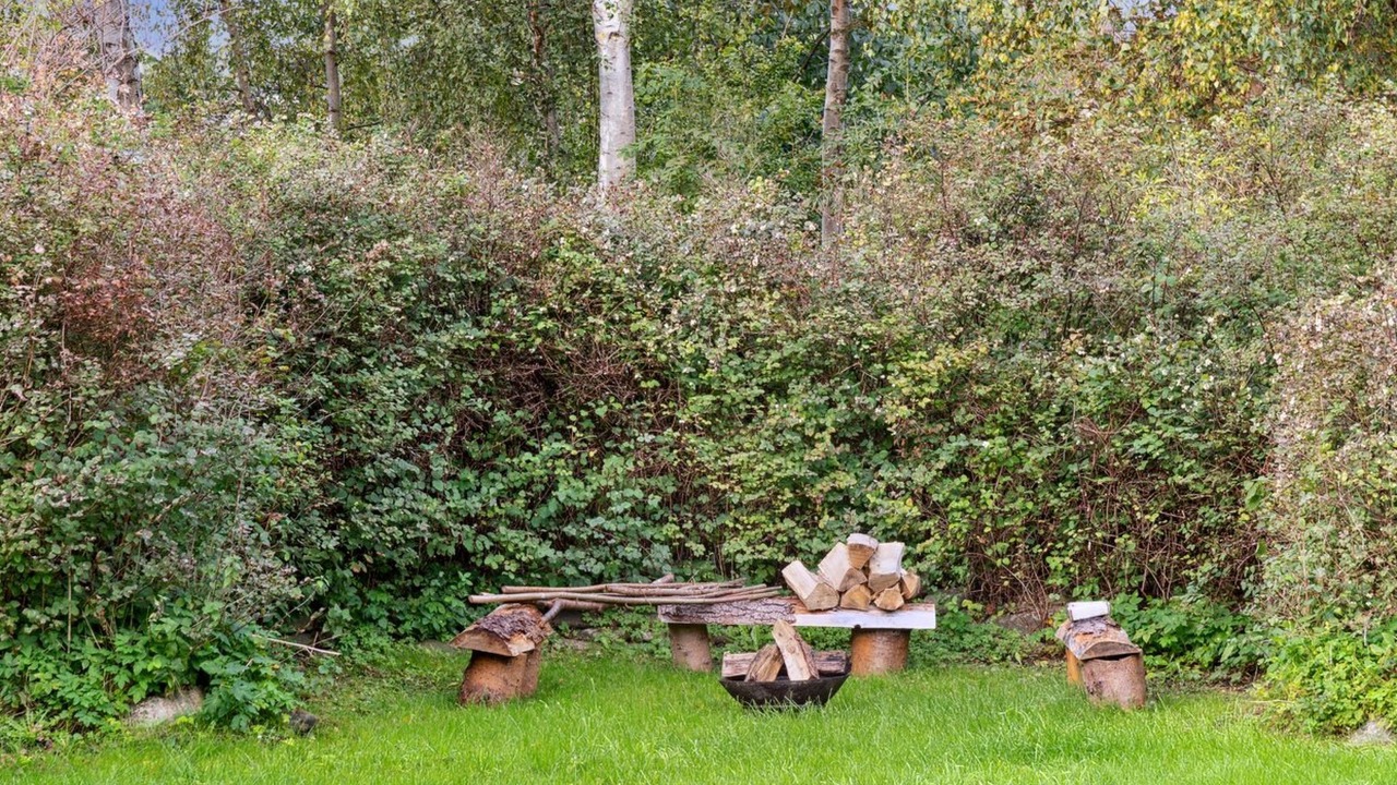 Photo of Outdoor in Hoensinge