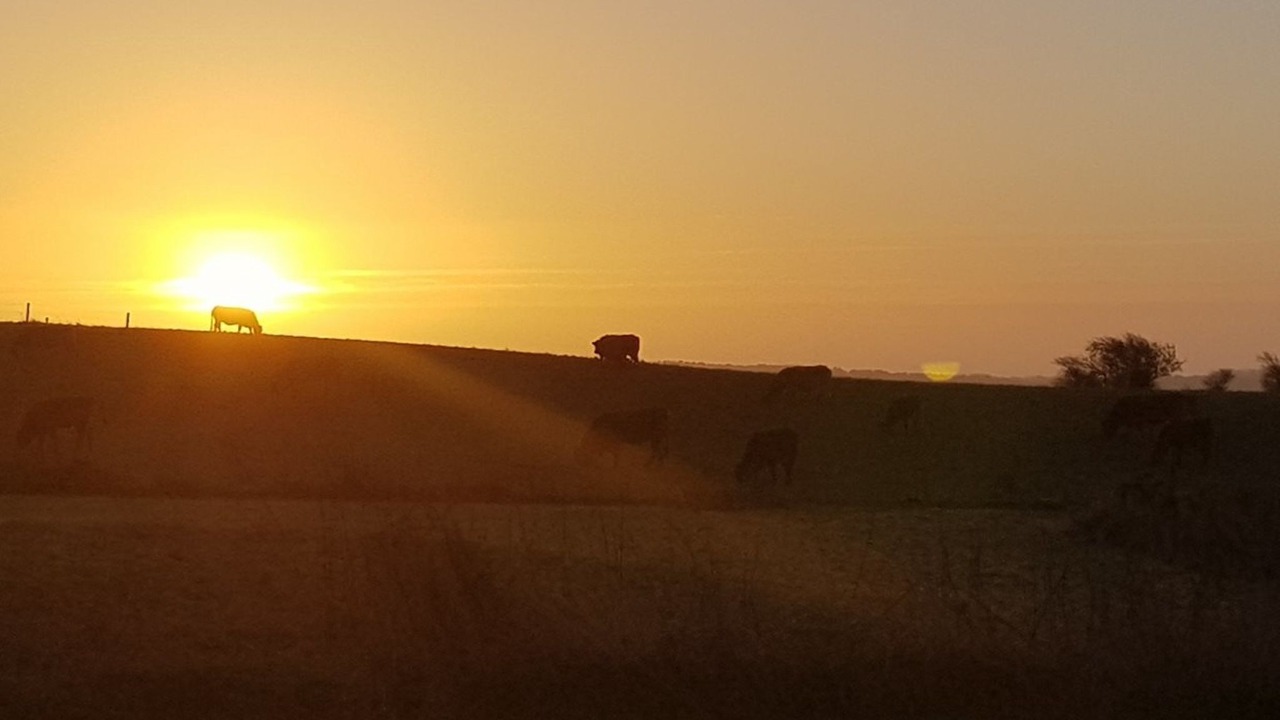Photo of Outdoor in Knebel