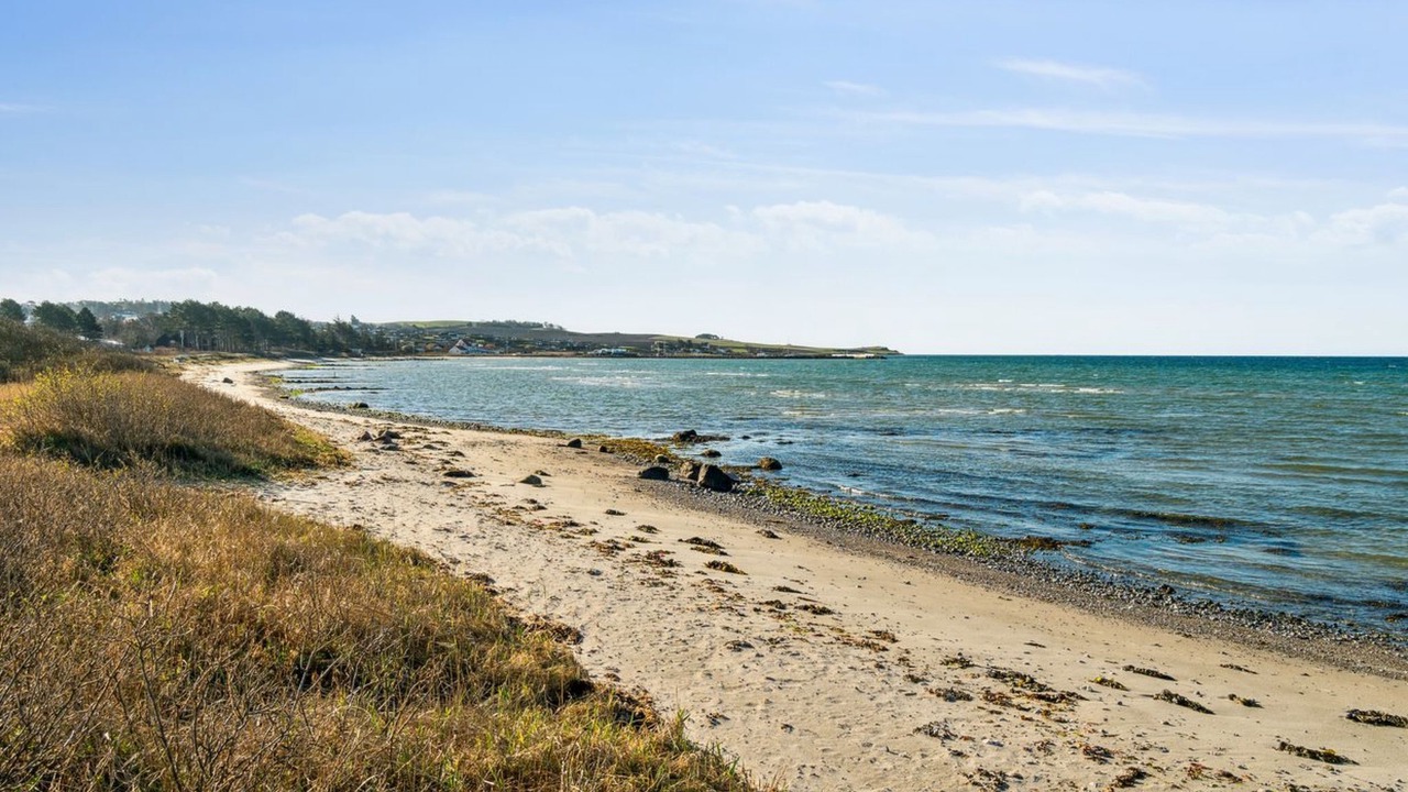 Photo of Outdoor in Skødshoved Strand