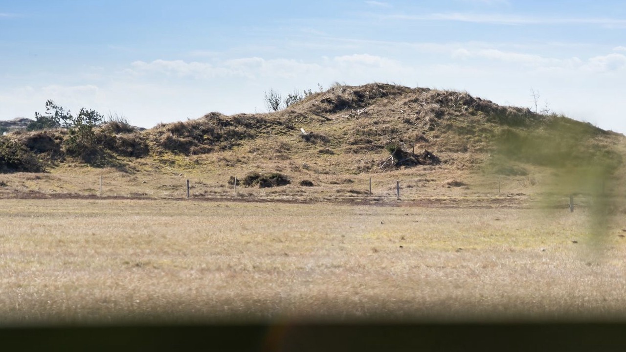 Photo of Others in Rødhus