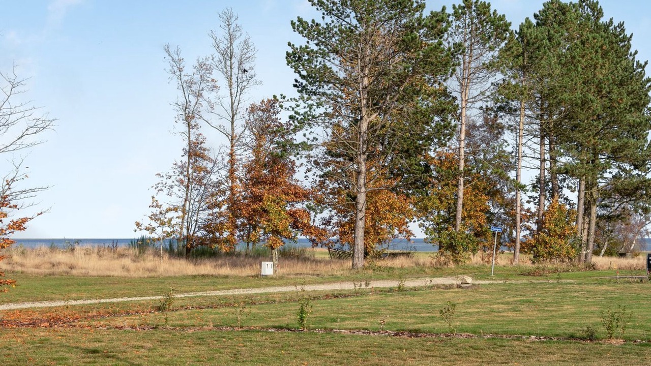 Photo of Others in Ørsted