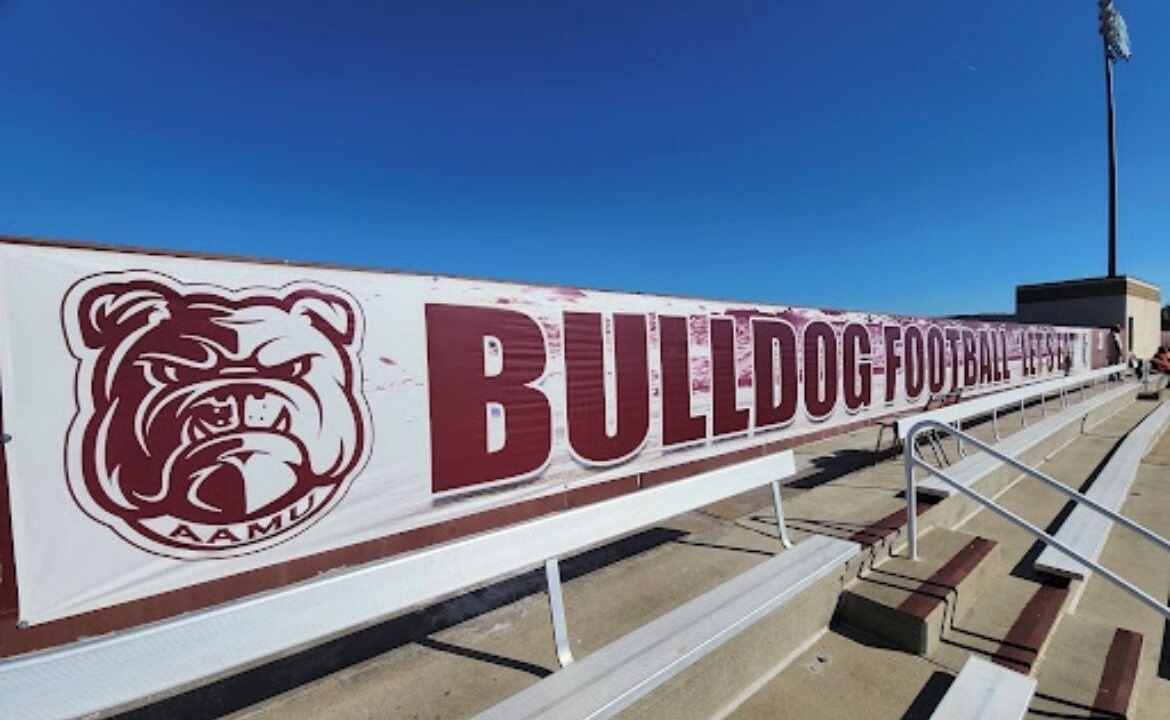 Photo of Others in Normal