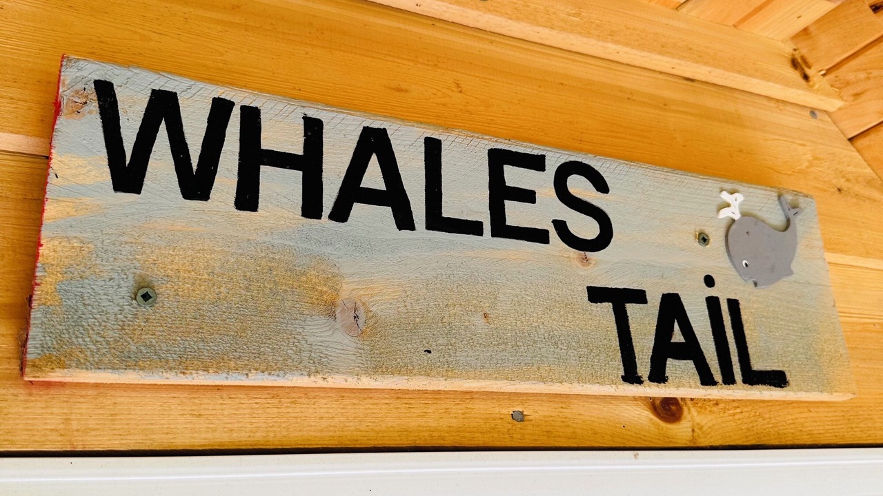 Photo of Others in Port Blandford