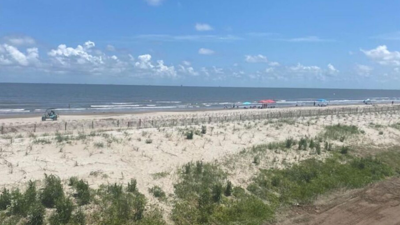Photo of Others in Grand Isle