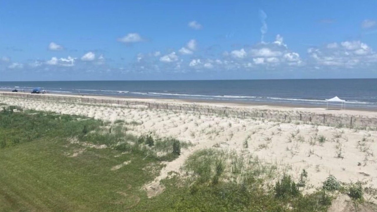 Photo of Others in Grand Isle