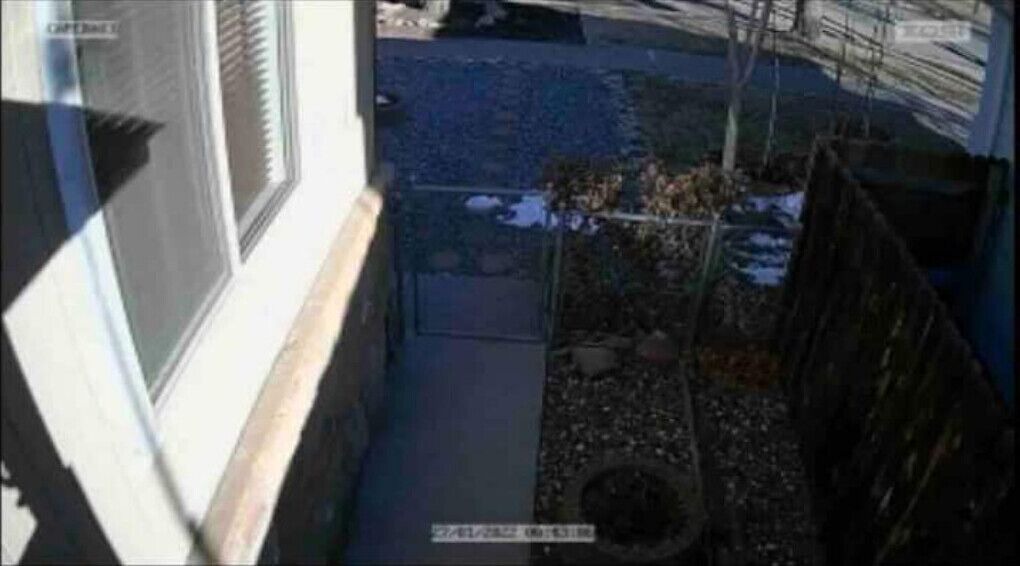 Photo of Outdoor in Grand Junction
