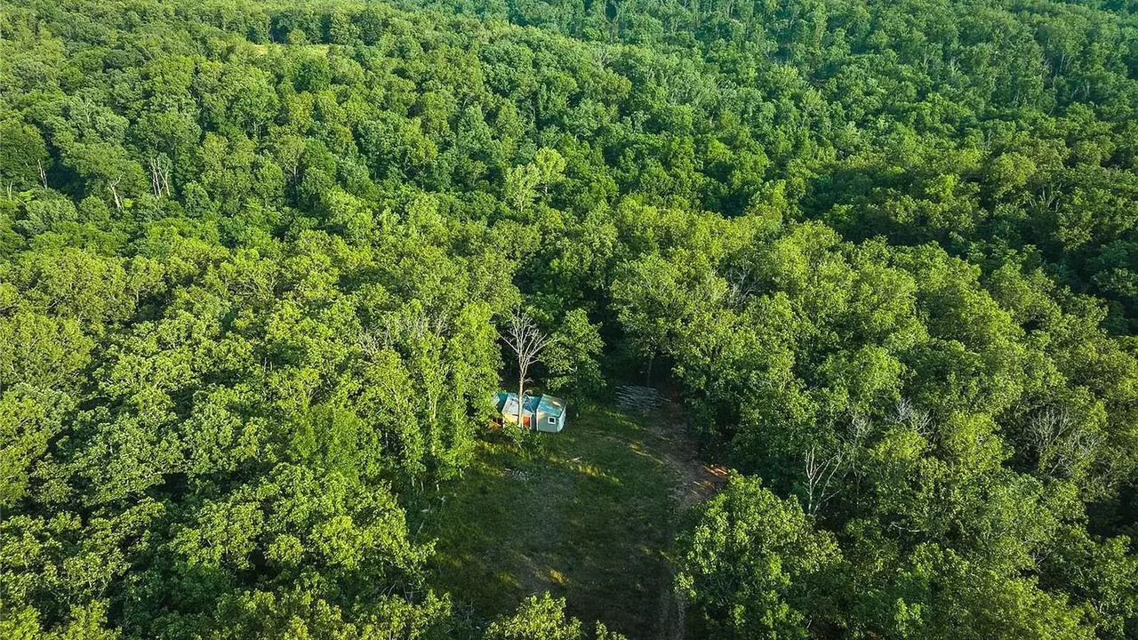 Photo of Outdoor in Steelville