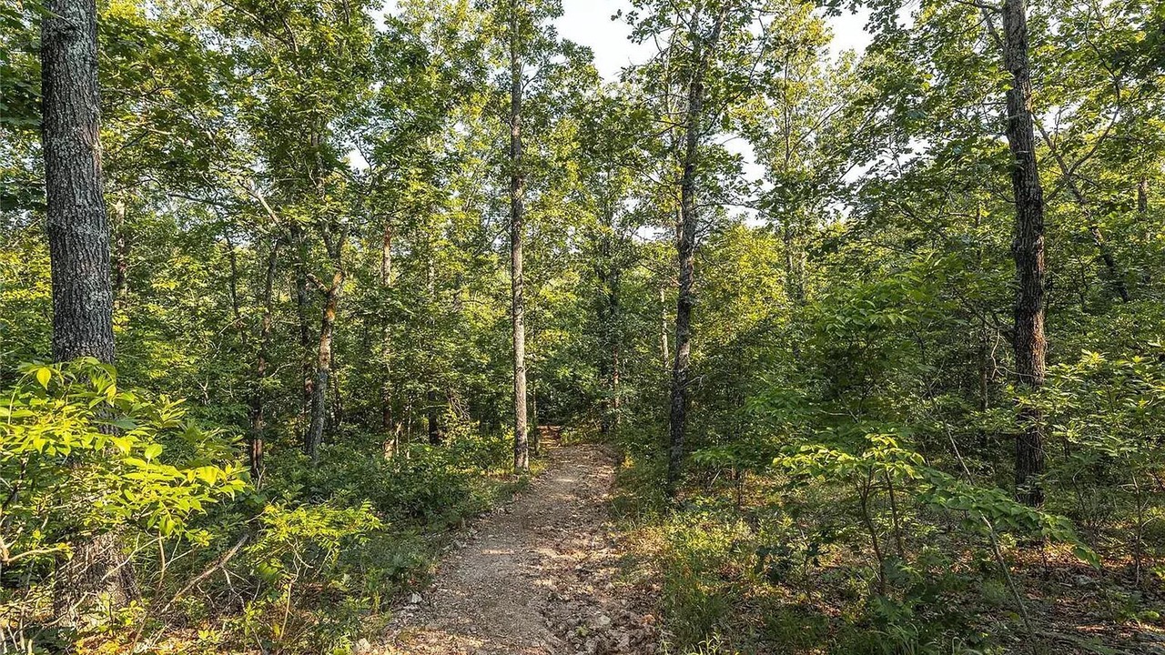 Photo of Outdoor in Steelville