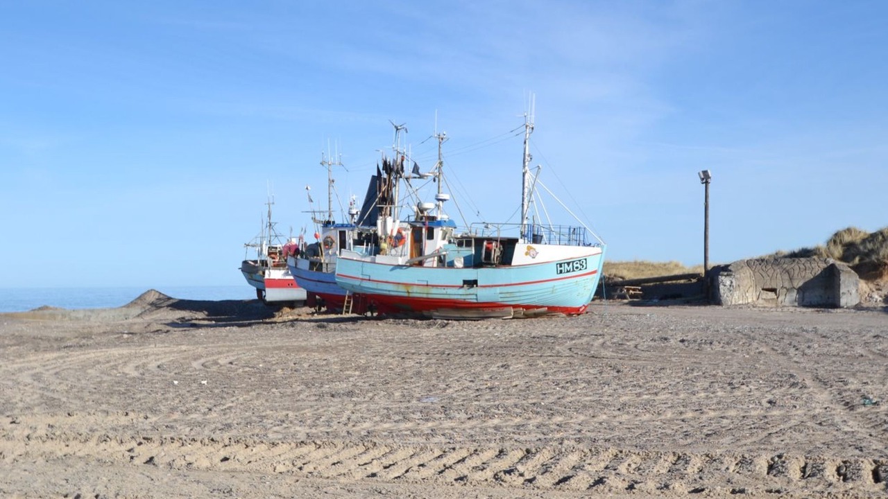 Photo of Outdoor in Torup Strand