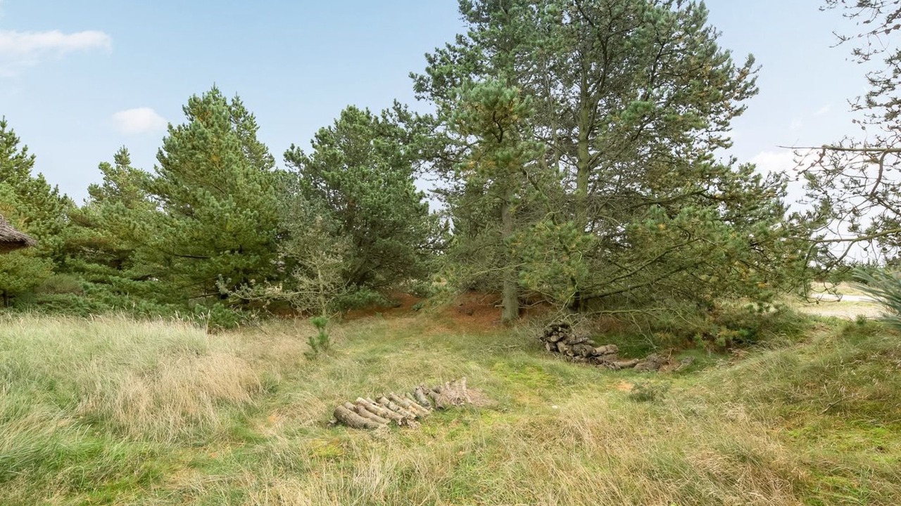 Photo of Others in Fjerritslev