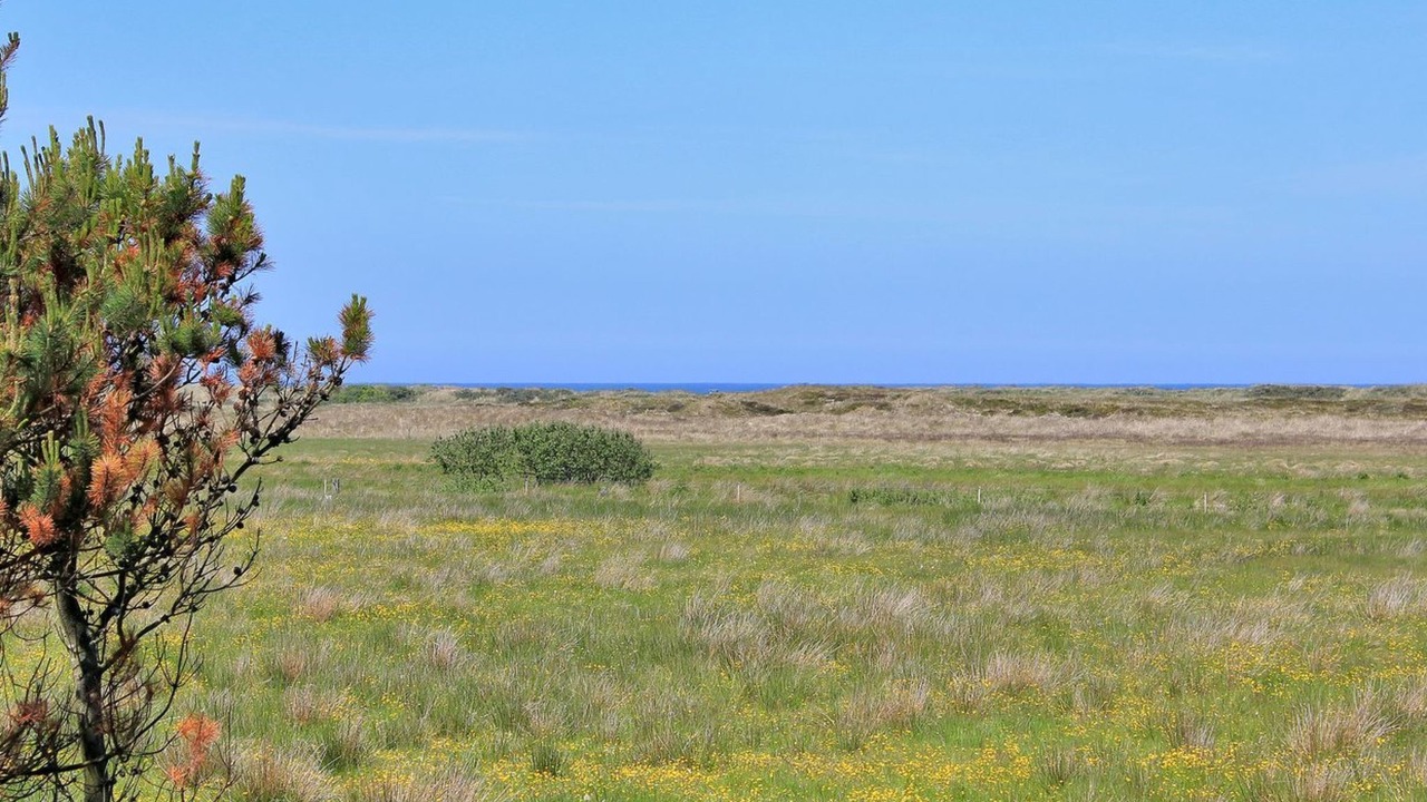 Photo of Others in Torup Strand