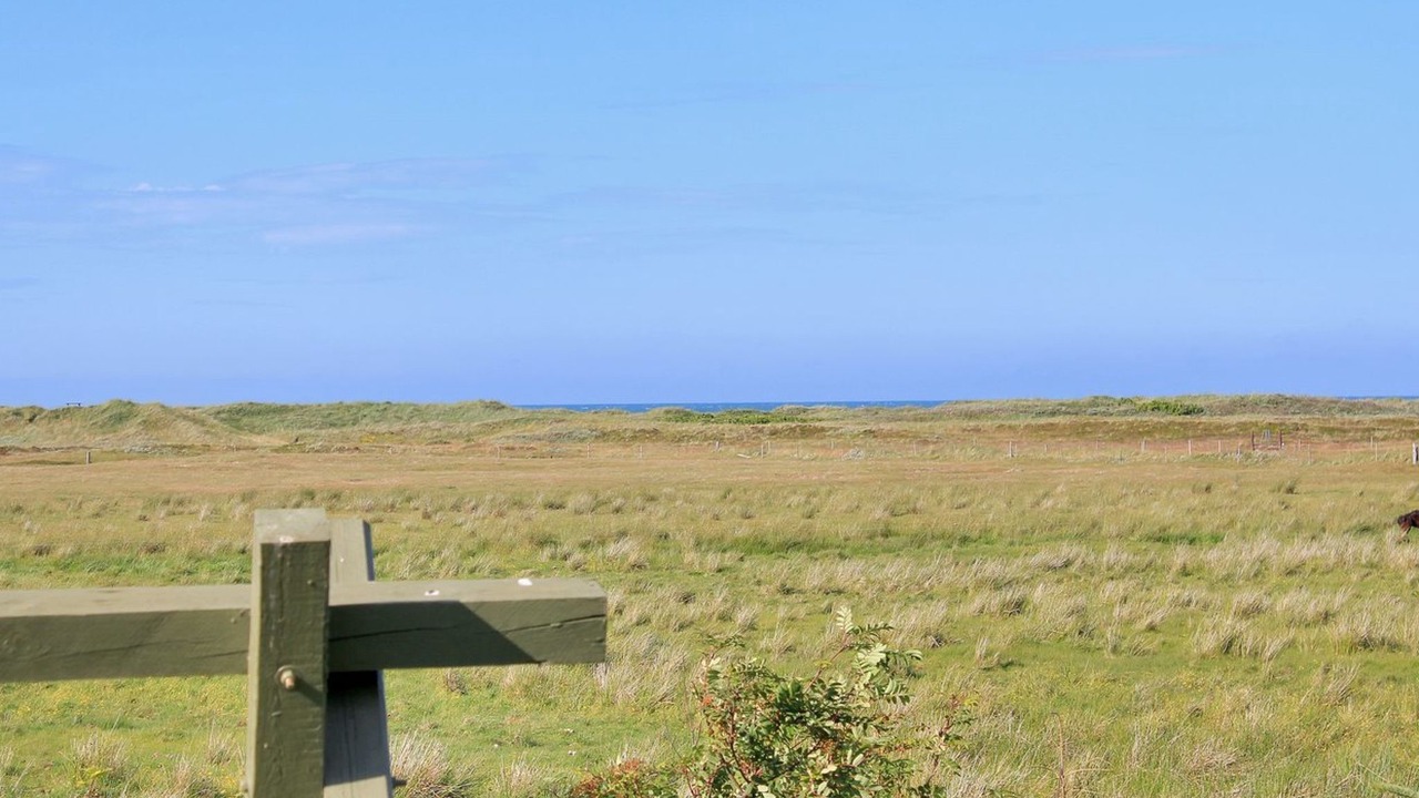 Photo of Others in Torup Strand