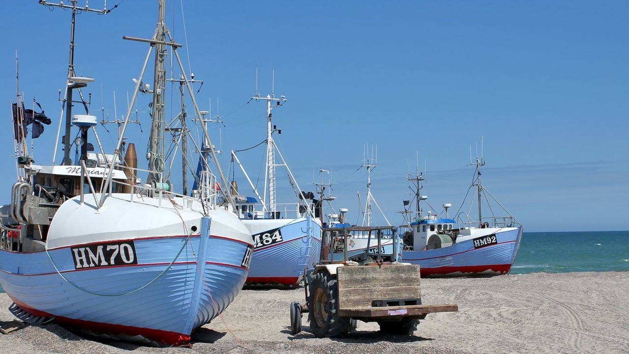 Photo of Outdoor in Torup Strand