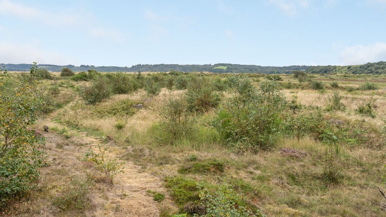 Photo of Outdoor in Slette Strand