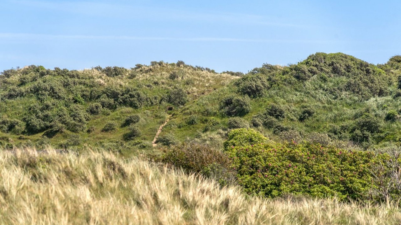 Photo of Outdoor in Hjørring