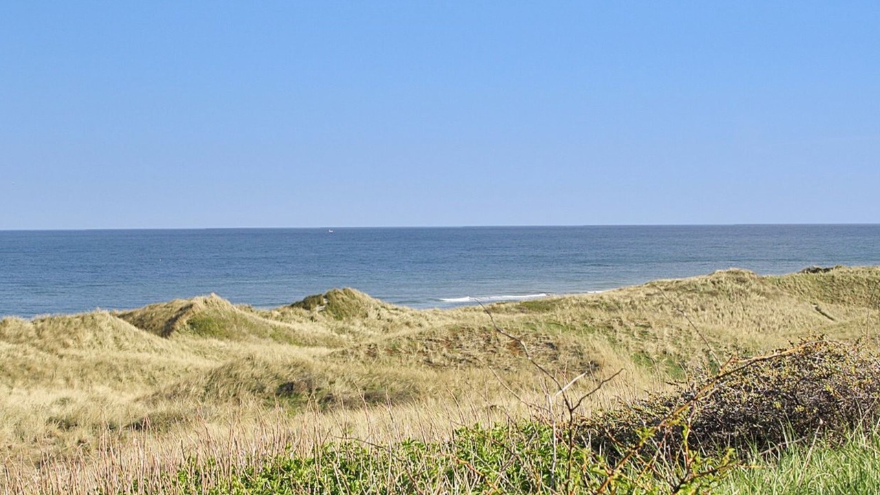 Photo of Others in Hirtshals