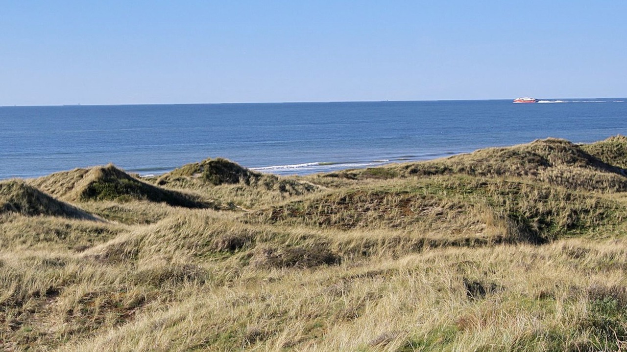Photo of Others in Hirtshals