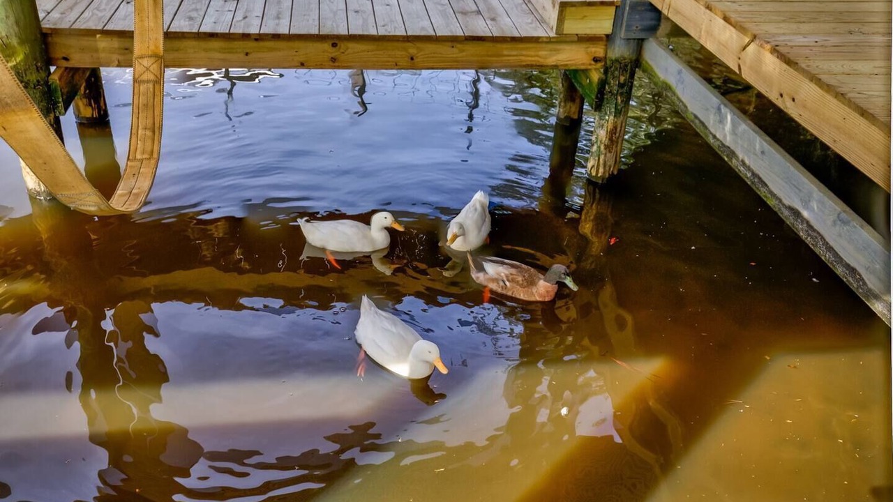 Photo of Others in Fairhope