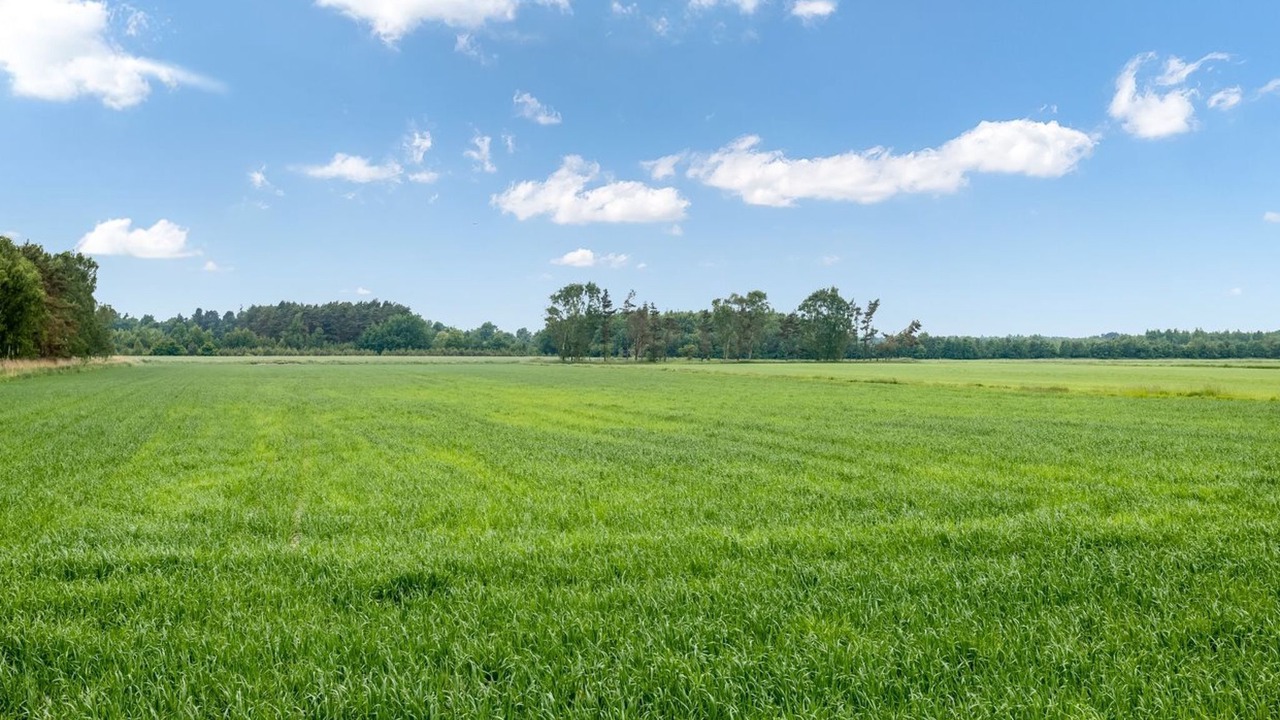 Photo of Outdoor in Læsø