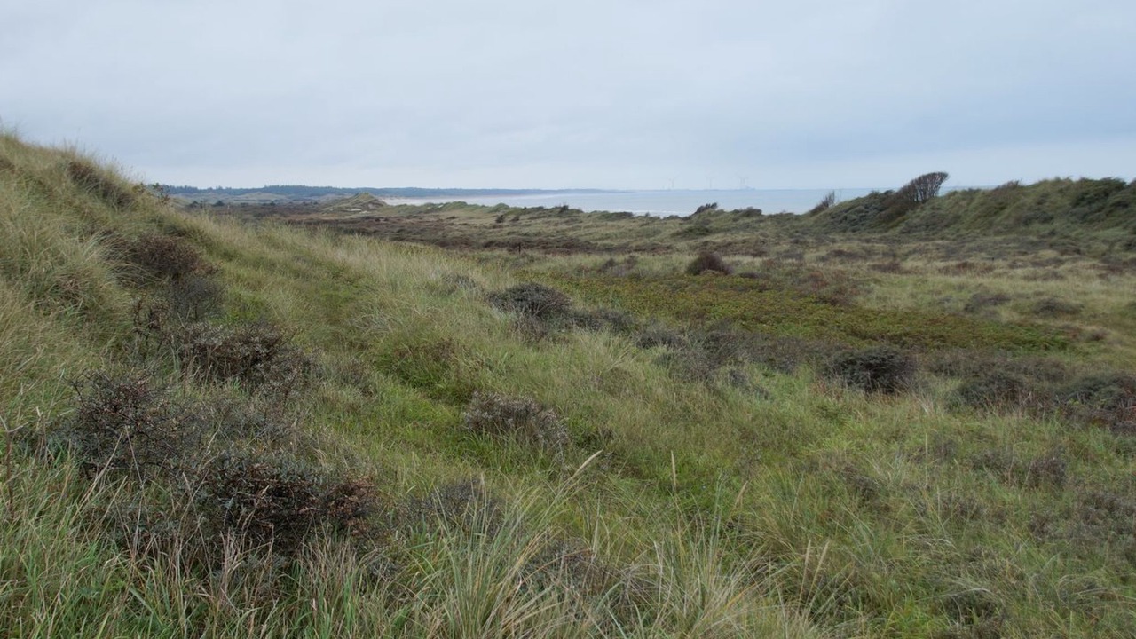 Photo of Outdoor in Tversted