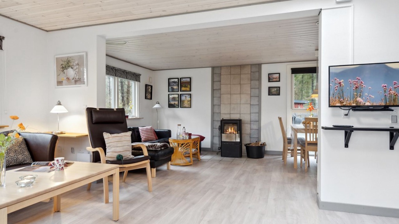 Photo of Livingroom in Læsø