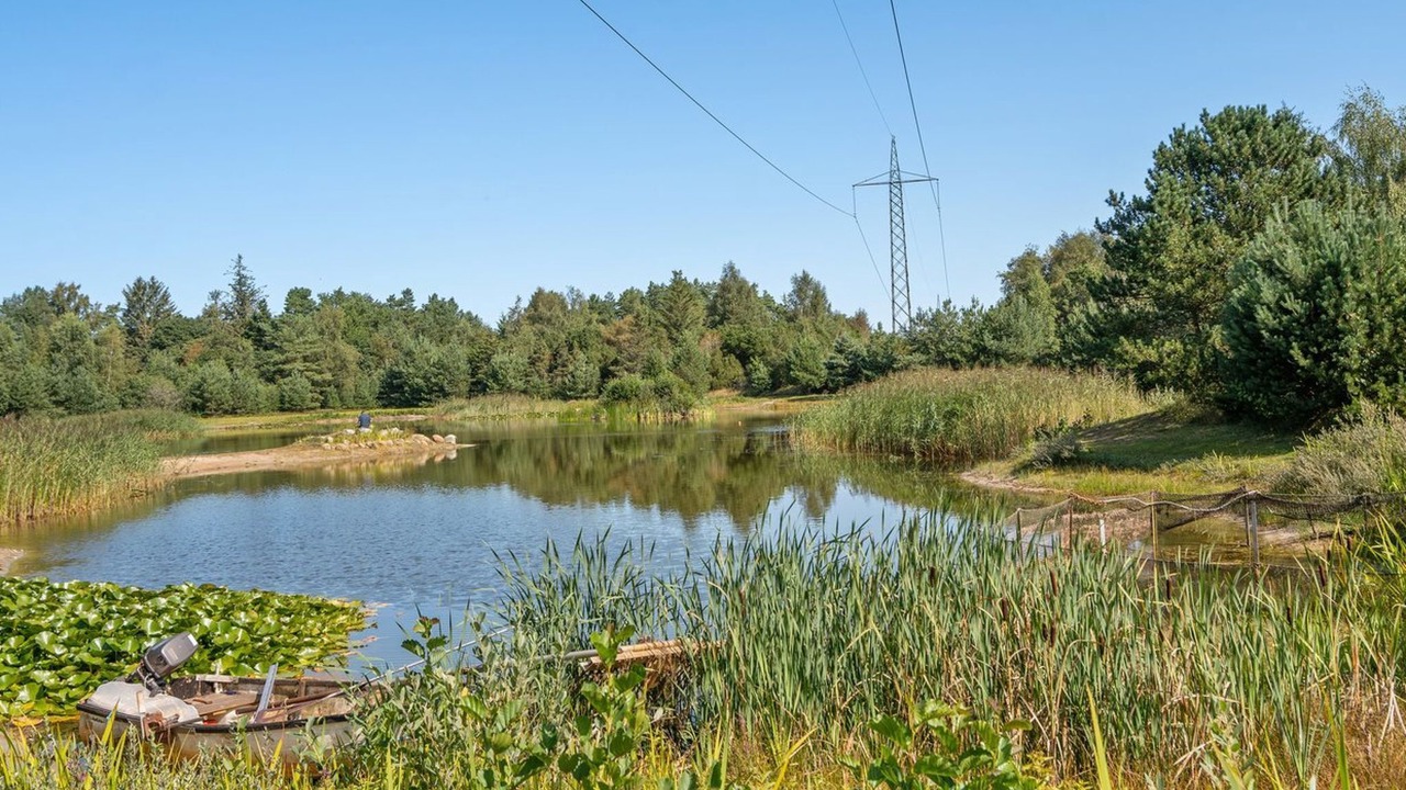Photo of Outdoor in Læsø