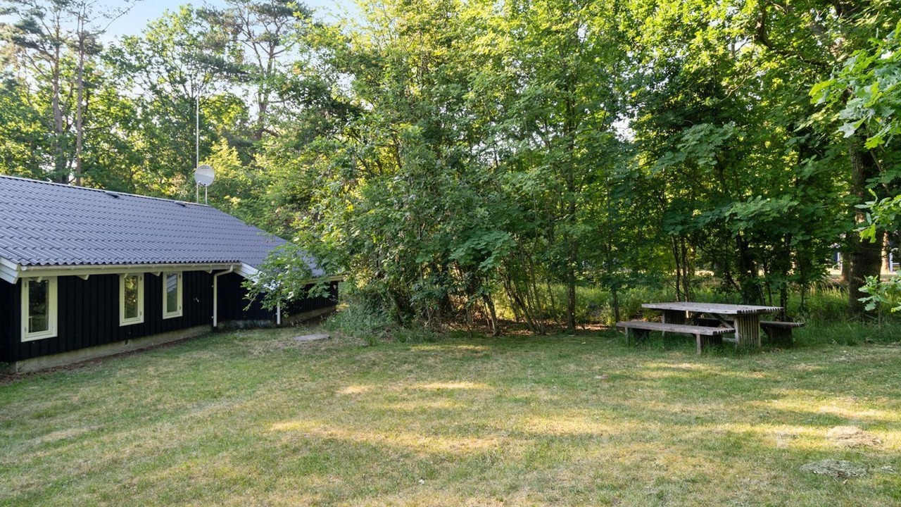 Photo of Others in Læsø