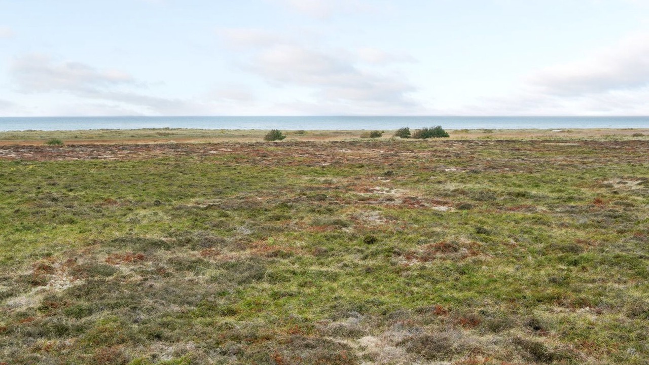 Photo of Outdoor in Læsø
