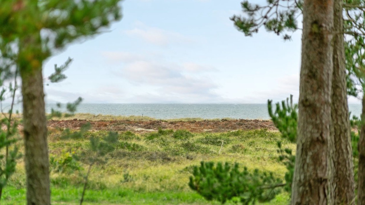 Photo of Outdoor in Læsø