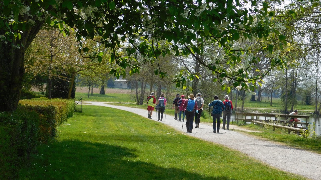 Photo of Others in Saint-Denis-du-Maine