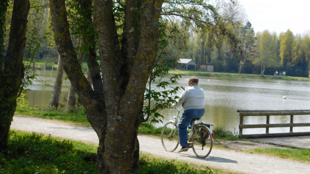 Photo of Others in Saint-Denis-du-Maine