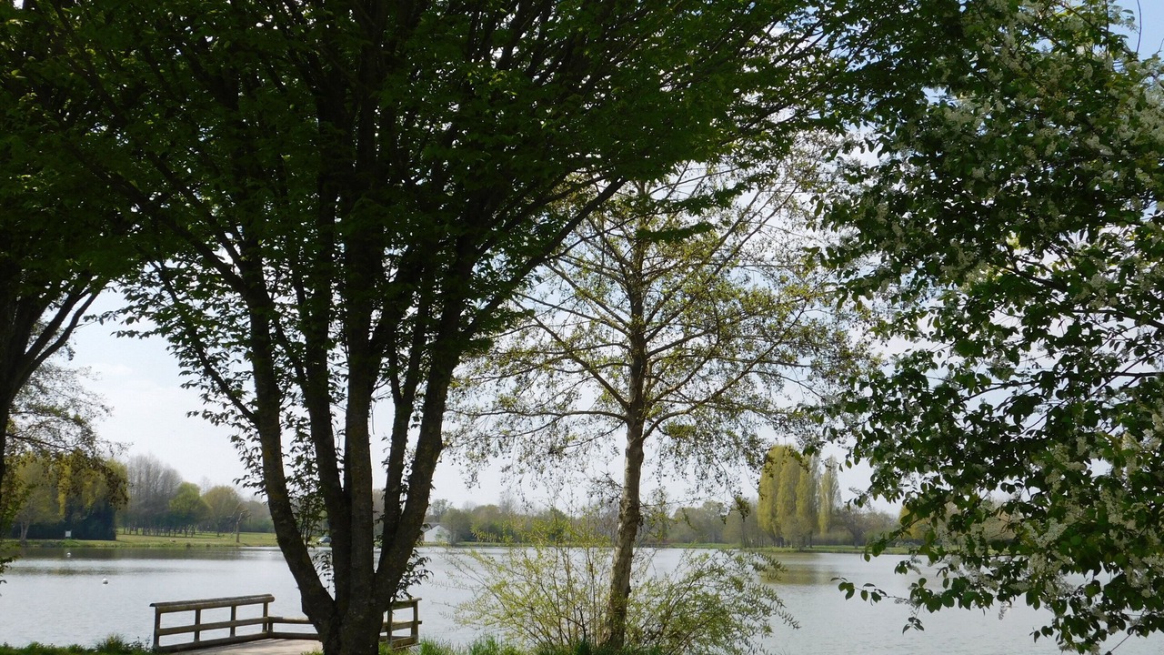 Photo of Others in Saint-Denis-du-Maine