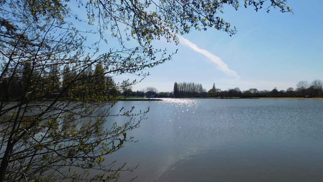 Photo of Others in Saint-Denis-du-Maine