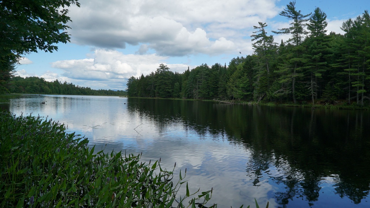 Photo of Others in Saranac Lake