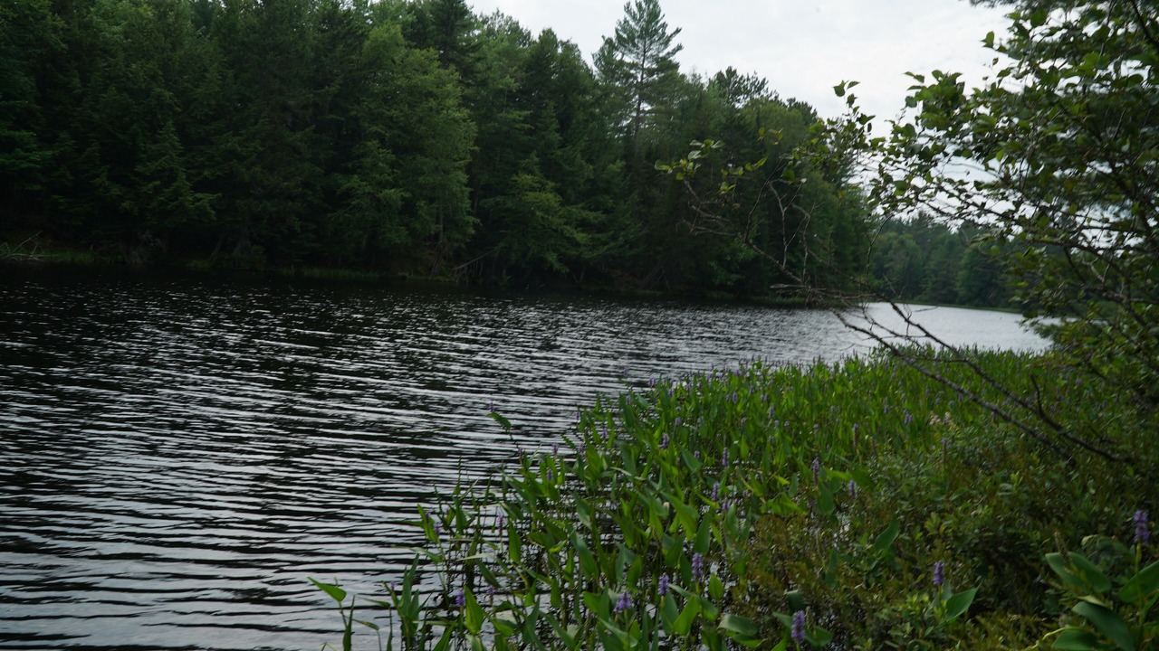 Photo of Others in Saranac Lake