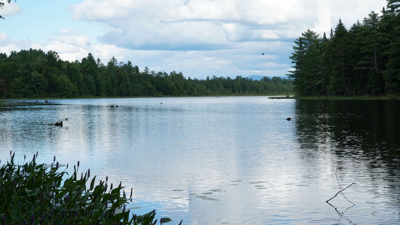 Photo of Others in Saranac Lake