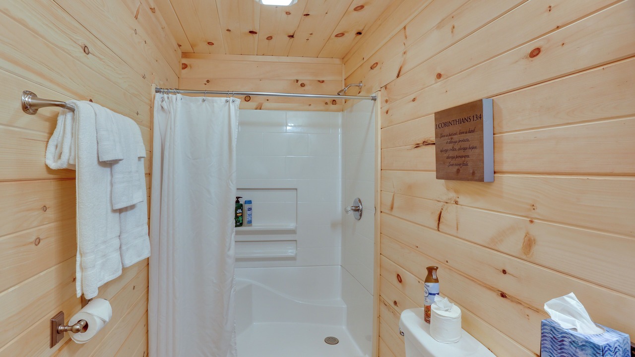Photo of Bathroom in Flat Rock