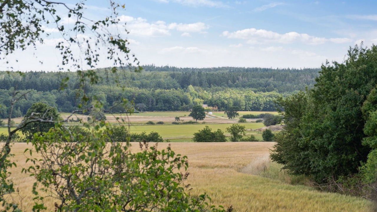 Photo of Outdoor in Akirkeby