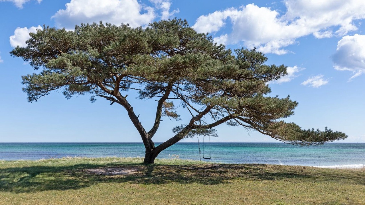 Photo of Outdoor in Bedegaard