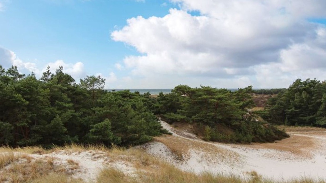 Photo of Outdoor in Dueodde