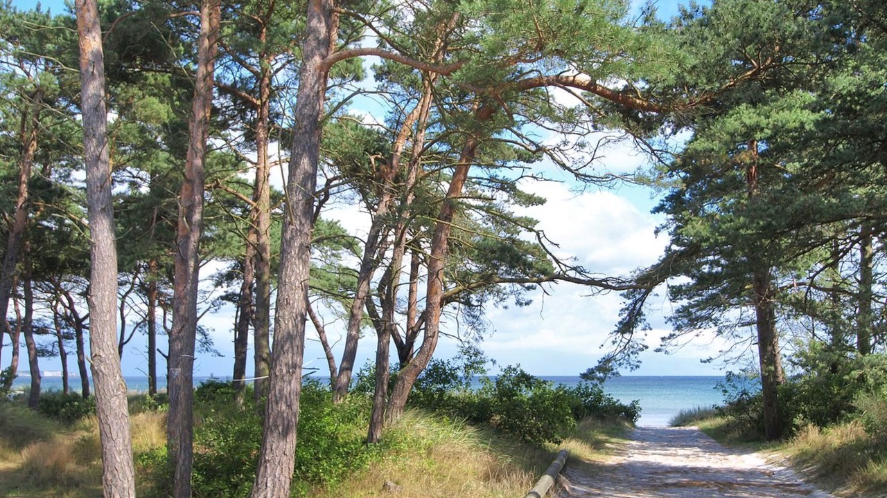 Photo of Outdoor in Balka Strand