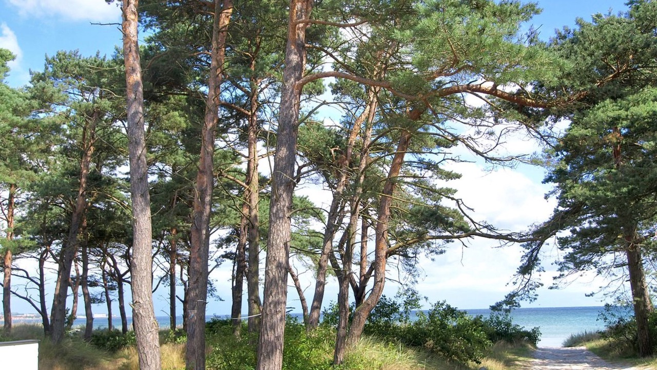 Photo of Outdoor in Balka