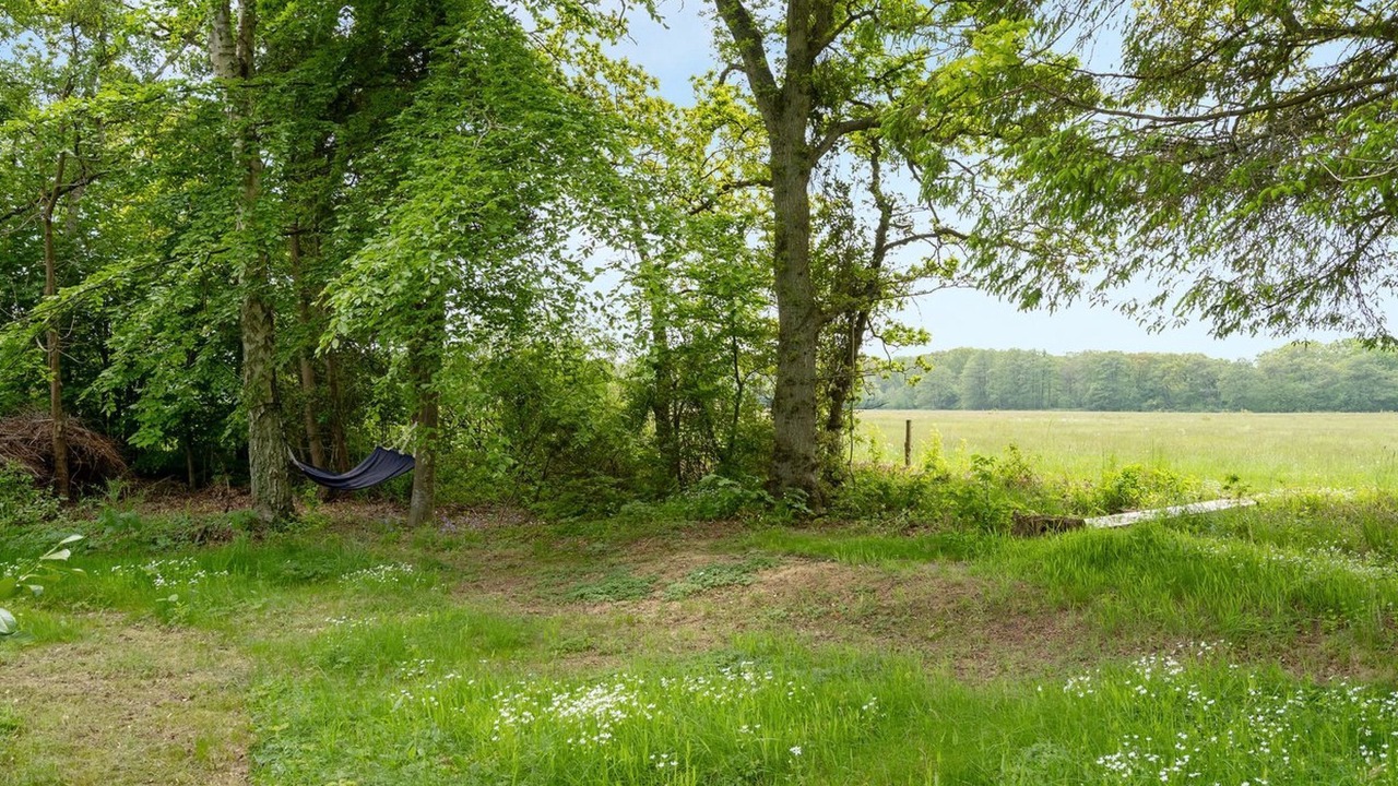 Photo of Others in Lyngsbæk Strand