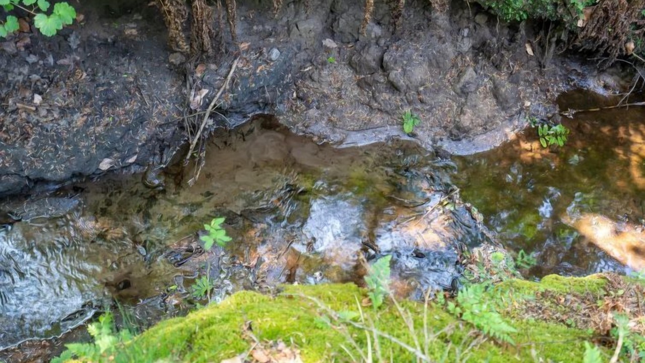 Photo of Outdoor in Nordost