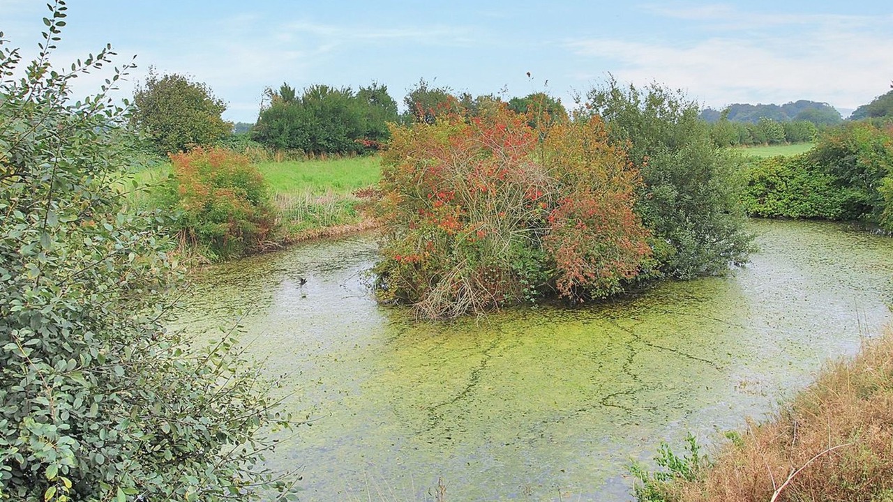 Photo of Outdoor in Fynshav