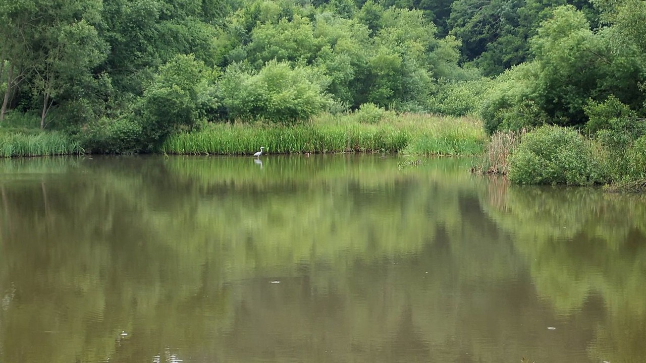 Photo of Outdoor in Fynshav