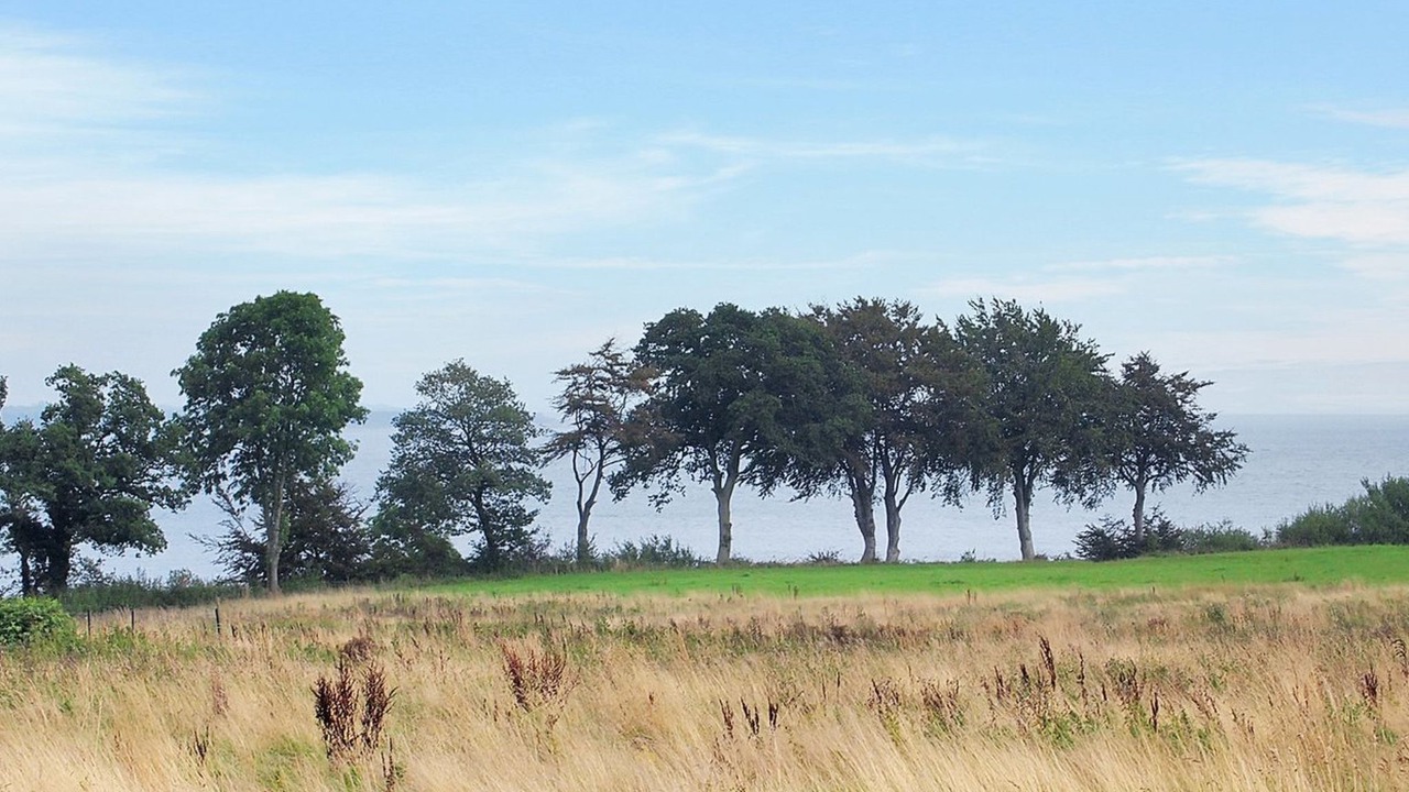 Photo of Outdoor in Fynshav