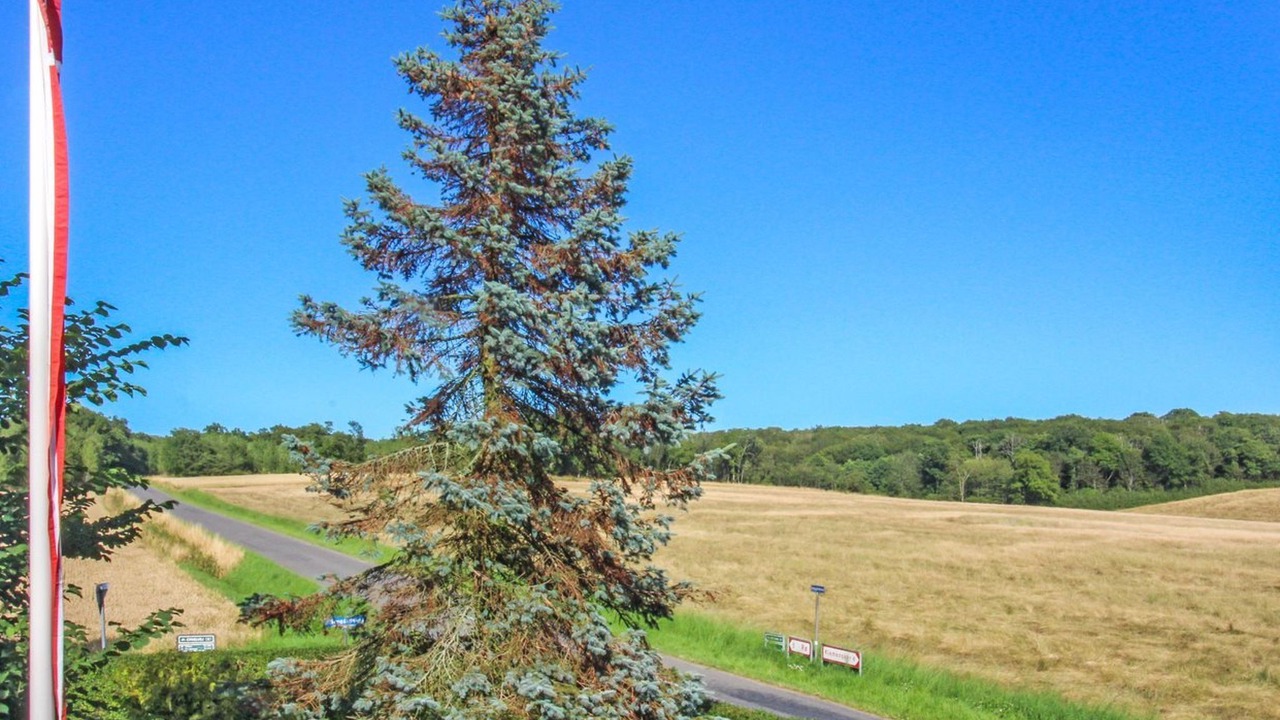 Photo of Others in Allinge