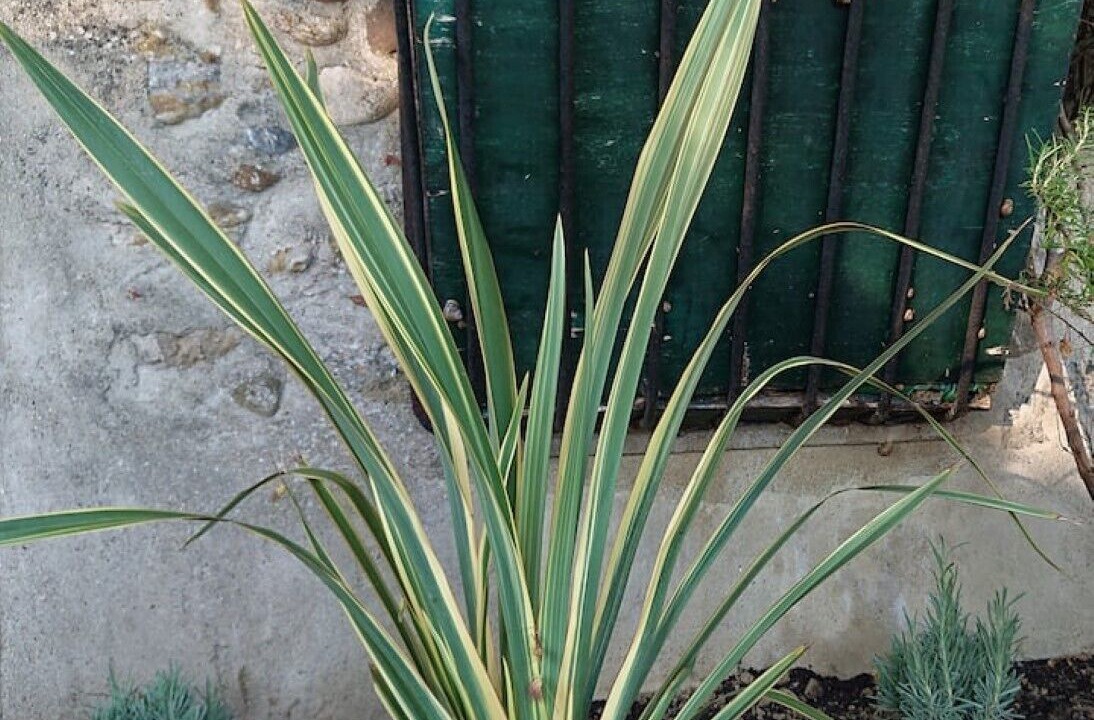 Photo of Outdoor in Montclar