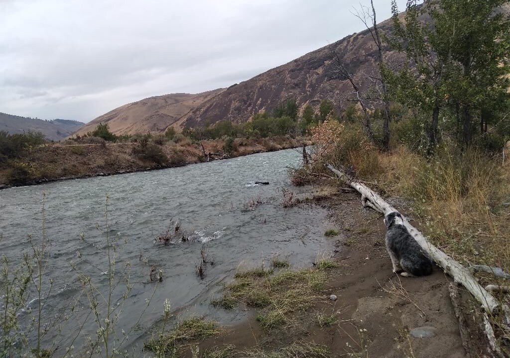 Photo of Outdoor in Naches
